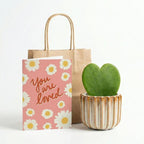 Cadeauset – Love Set – Hartjesplant, pot, wenskaart & geschenktasje