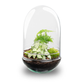 DIY Planten terrarium tweedelig bolglas – Egg XL – Ø 17,5 cm ↑ 30 cm