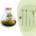 DIY terrarium – Sammie Coffea Red – Ø 22,5 cm ↑ 27 cm – Rake + Shovel + Tweezer + Scissors