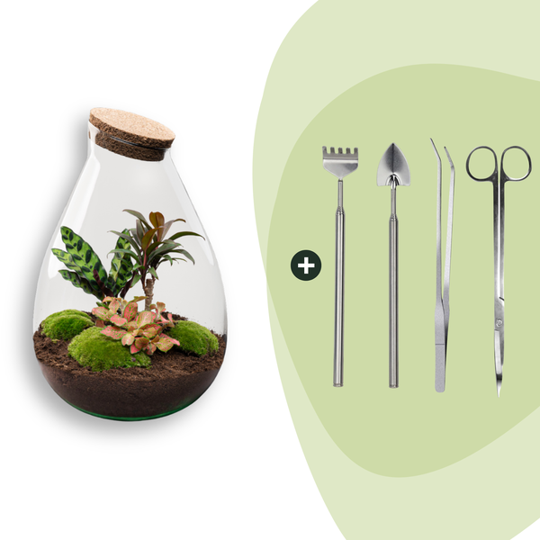 DIY Planten terrarium – Drop XL Palm – Ø 24 cm ↑ 37 cm – Rake + Shovel + Tweezer + Scissors