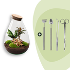 DIY Planten terrarium – Drop XL Palm – Ø 24 cm ↑ 37 cm – Rake + Shovel + Tweezer + Scissors