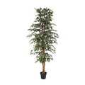 ARTIFICIAL Ficus benjamina variegata – 205cm