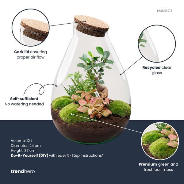 DIY Planten terrarium – Drop XL Bonsai ‘red’ – Ø 24 cm ↑ 37 cm – No tools