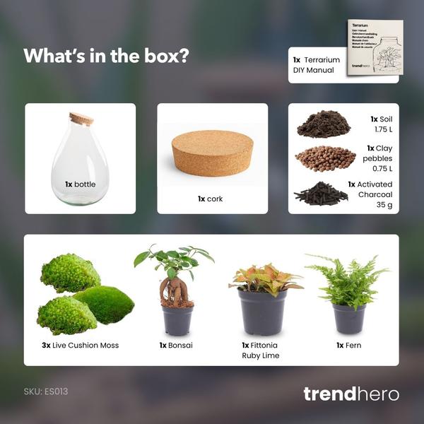 DIY Planten terrarium – Drop XL Bonsai ‘red’ – Ø 24 cm ↑ 37 cm – No tools