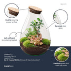 DIY Planten terrarium – Drop XL Bonsai ‘red’ – Ø 24 cm ↑ 37 cm – Rake + Shovel