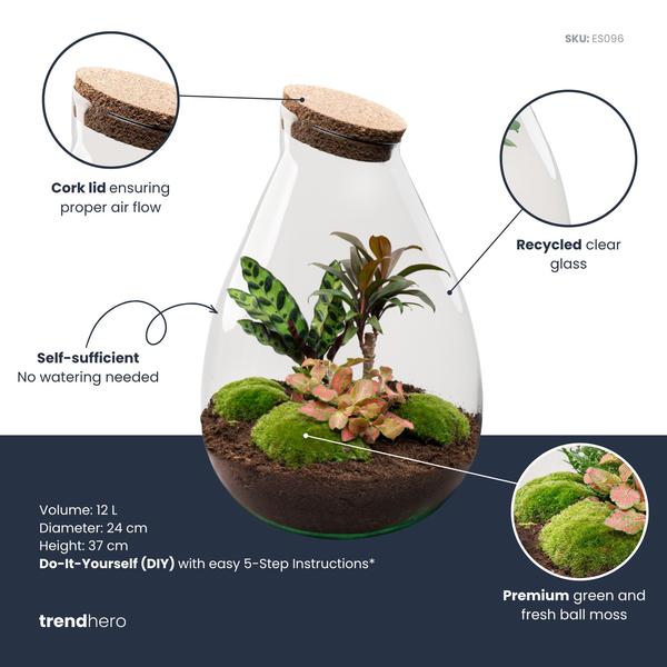 DIY Planten terrarium – Drop XL Palm – Ø 24 cm ↑ 37 cm – No tools