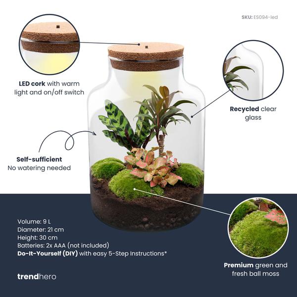 DIY Planten terrarium met licht – Milky Palm – Ø 21 cm ↑ 30 cm