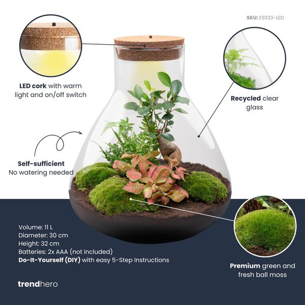 DIY planten terrarium met licht – Sam XL Bonsai – Ø 30 cm ↑ 32 cm