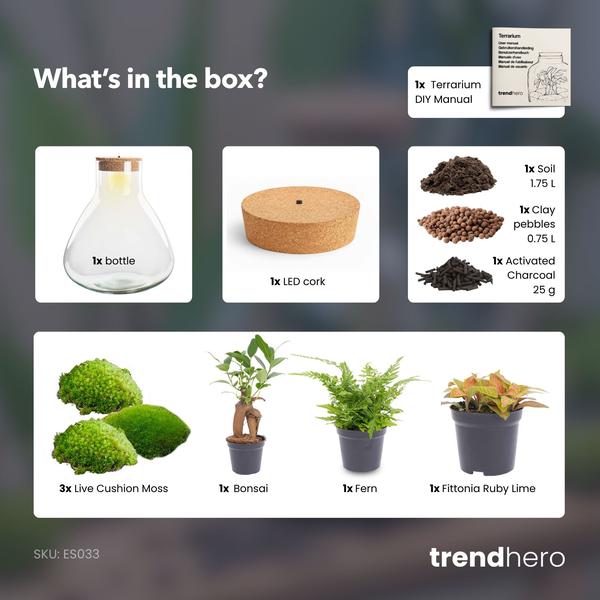 DIY planten terrarium met licht – Sam XL Bonsai – Ø 30 cm ↑ 32 cm