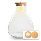 Terrarium fles met verlichting – Sam – Ø 24,5 cm ↑ 30 cm