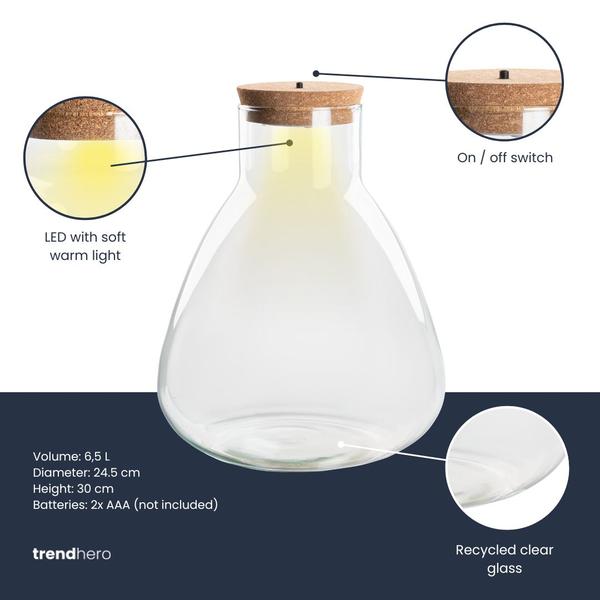 Terrarium fles met verlichting – Sam – Ø 24,5 cm ↑ 30 cm