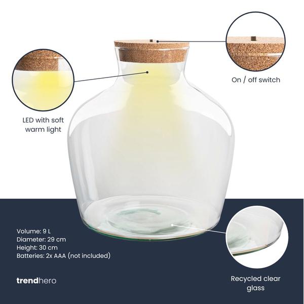 Terrarium fles met verlichting – Fat Joe – Ø 29 cm ↑ 30 cm