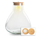 Terrarium fles met verlichting – Sam XL – Ø 30 cm ↑ 32 cm