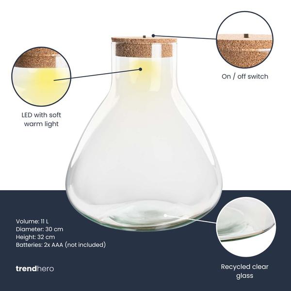 Terrarium fles met verlichting – Sam XL – Ø 30 cm ↑ 32 cm