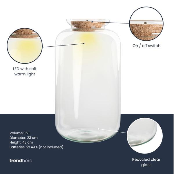 Terrarium fles met verlichting – Sven XL – Ø 23 cm ↑ 43 cm
