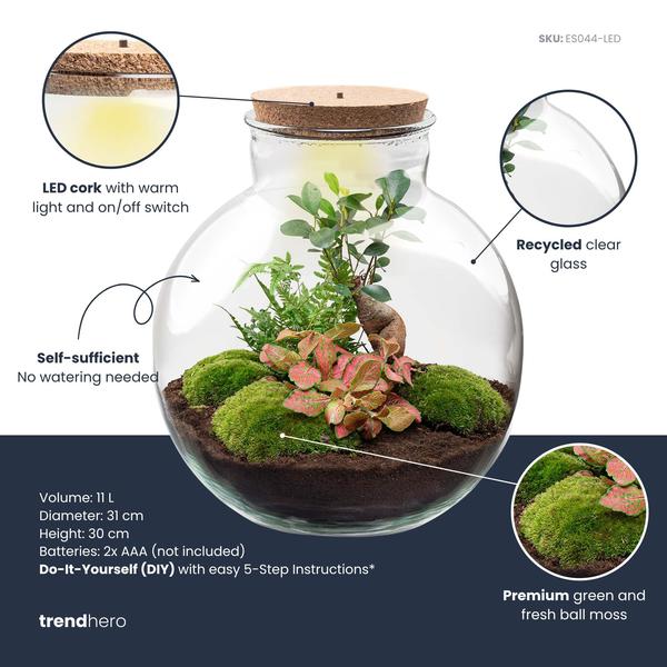 DIY Planten terrarium met licht – Bolder Bob Bonsai – Ø 31 cm ↑ 30 cm