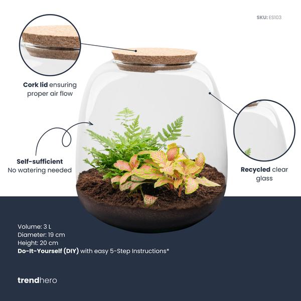 Planten terrarium – Emma Mini – DIY kit – ↑ 20 cm – Ø 19 cm – Fittona Ruby Lime