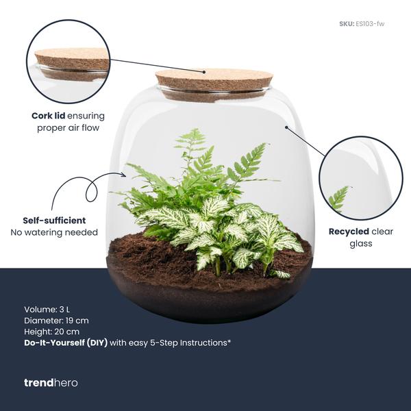 Planten terrarium – Emma Mini – DIY kit – ↑ 20 cm – Ø 19 cm – Fittonia White Tiger