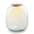 Terrarium fles met verlichting – Emma – Ø 23 cm ↑ 25 cm