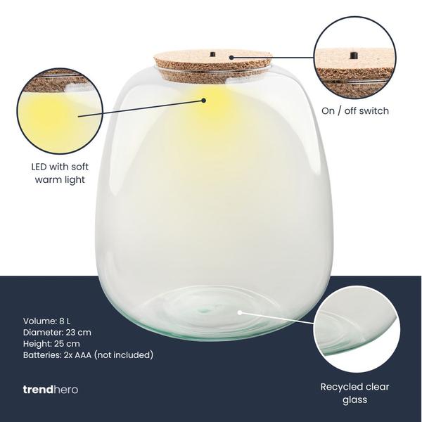 Terrarium fles met verlichting – Emma – Ø 23 cm ↑ 25 cm
