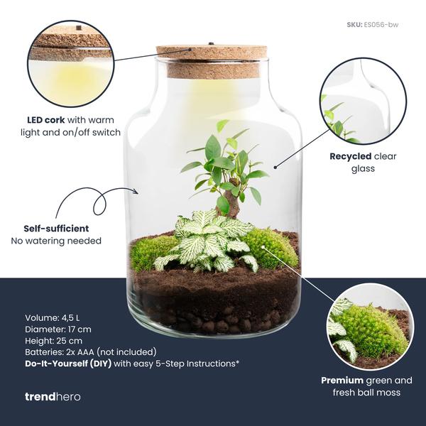 DIY Planten terrarium met licht – Little Milky Bonsai – Ø 17 cm ↑ 25 cm