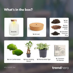 DIY Planten terrarium met licht – Little Milky Bonsai – Ø 17 cm ↑ 25 cm