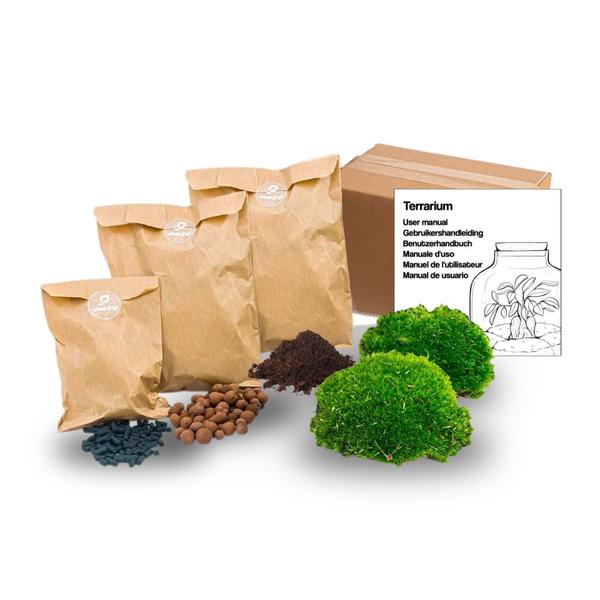 Planten terrarium navulling & startpakket – Maat S/M