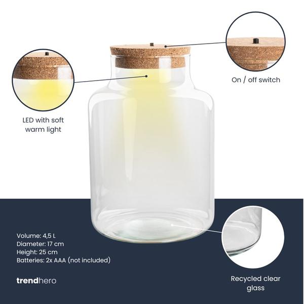 Terrarium fles met verlichting – Little Milky – Ø 17 cm ↑ 25 cm
