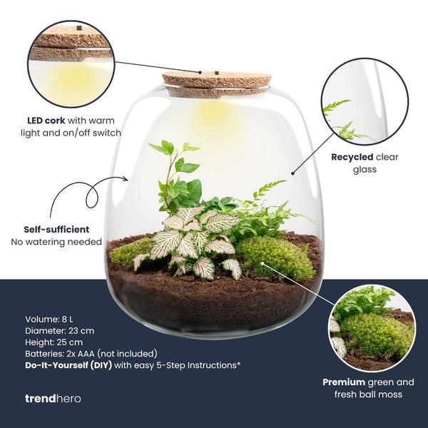 Planten terrarium – Emma – DIY kit – ↑ 25 cm – Ø 23 cm – Hedera White