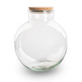 Terrarium fles met (LED) kurk – Bolder Bob – Ø 30 cm ↑ 31 cm – Zonder LED-kurk