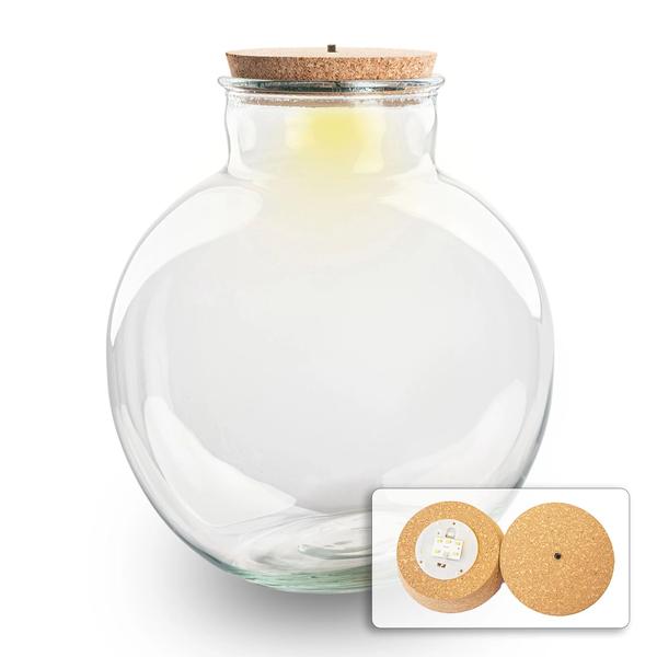 Terrarium fles met (LED) kurk – Bolder Bob – Ø 30 cm ↑ 31 cm – Met LED-kurk
