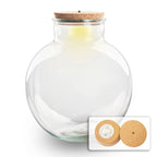 Terrarium fles met (LED) kurk – Bolder Bob – Ø 30 cm ↑ 31 cm – Met LED-kurk