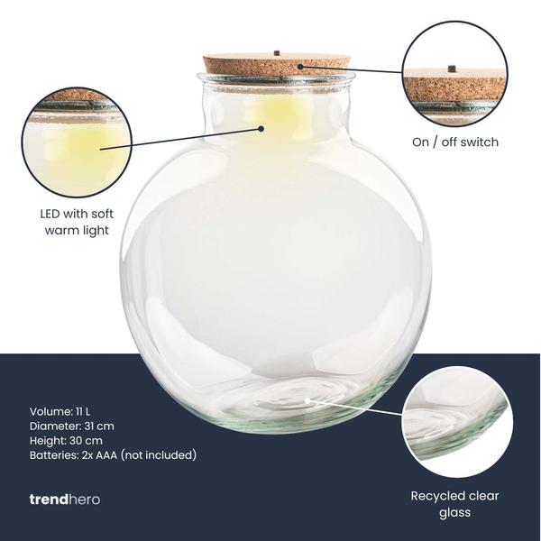 Terrarium fles met (LED) kurk – Bolder Bob – Ø 30 cm ↑ 31 cm – Met LED-kurk