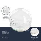 Terrarium bolglas tweedelig – Dome – Ø 20 cm ↑ 20 cm