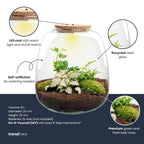 Planten terrarium – Emma – DIY kit – ↑ 25 cm – Ø 23 cm – Hedera Pink