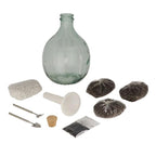 DIY Plant Terrarium Set 5L – Maak je eigen gesloten ecosysteem | In giftbox