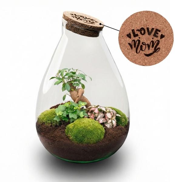 ‘LOVE MOM’ terrarium Drop XL + gegraveerde kurk – Fles terrarium DIY kit – Ø 24 cm ↑ 37 cm – Moederdag