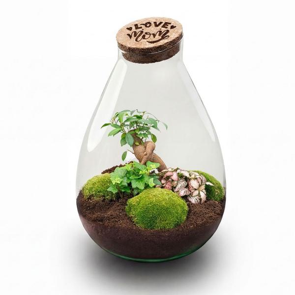 ‘LOVE MOM’ terrarium Drop XL + gegraveerde kurk – Fles terrarium DIY kit – Ø 24 cm ↑ 37 cm – Moederdag