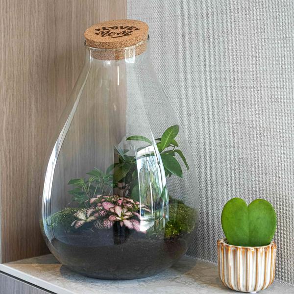 ‘LOVE MOM’ terrarium Drop XL + gegraveerde kurk – Fles terrarium DIY kit – Ø 24 cm ↑ 37 cm – Moederdag