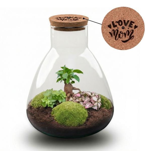 ‘LOVE MOM’ terrarium Sam + gegraveerde kurk met licht – Fles terrarium DIY kit – Ø 24.5 cm ↑ 30 cm – Moederdag