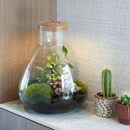 ‘LOVE MOM’ terrarium Sam + gegraveerde kurk met licht – Fles terrarium DIY kit – Ø 24.5 cm ↑ 30 cm – Moederdag