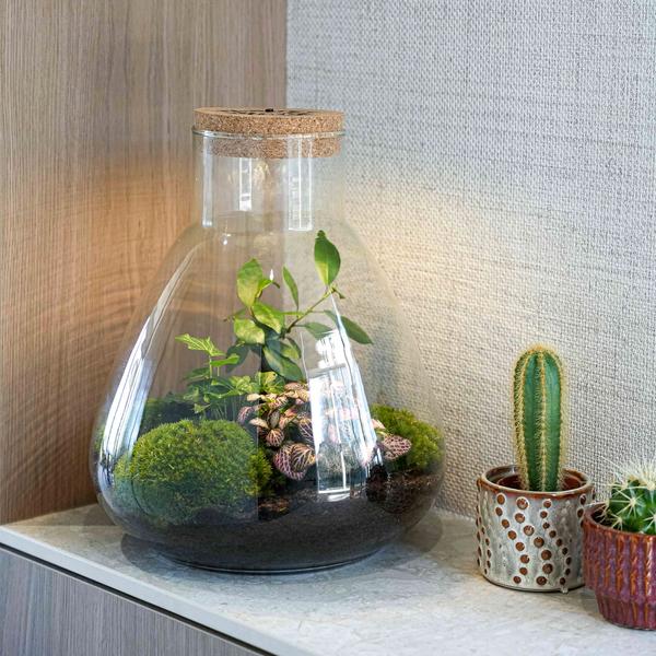 ‘LOVE MOM’ terrarium Sam + gegraveerde kurk met licht – Fles terrarium DIY kit – Ø 24.5 cm ↑ 30 cm – Moederdag