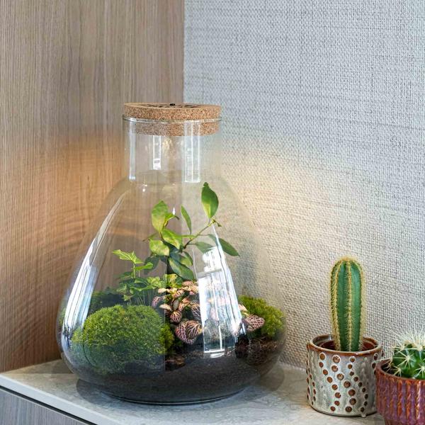 ‘LOVE MOM’ terrarium Sam + gegraveerde kurk met licht – Fles terrarium DIY kit – Ø 24.5 cm ↑ 30 cm – Moederdag