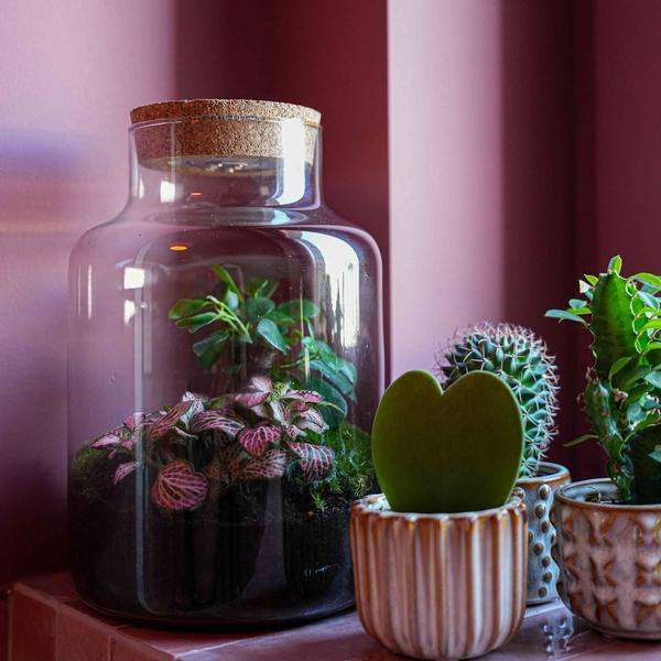 ‘LOVE MOM’ terrarium Little Milky + gegraveerde kurk met licht – Fles terrarium DIY kit – Ø 17 cm ↑ 25 cm – Moederdag