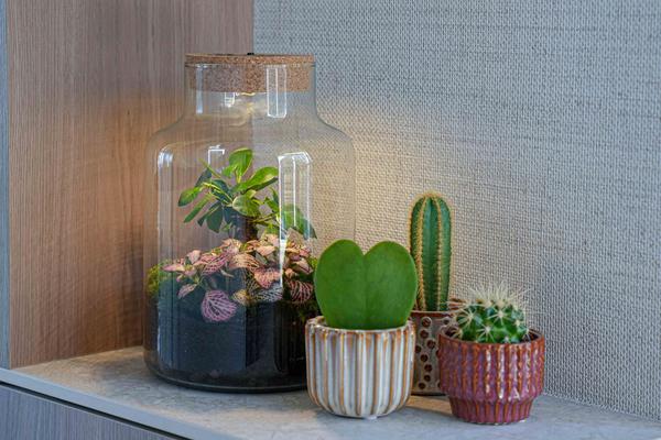 ‘LOVE MOM’ terrarium Little Milky + gegraveerde kurk met licht – Fles terrarium DIY kit – Ø 17 cm ↑ 25 cm – Moederdag