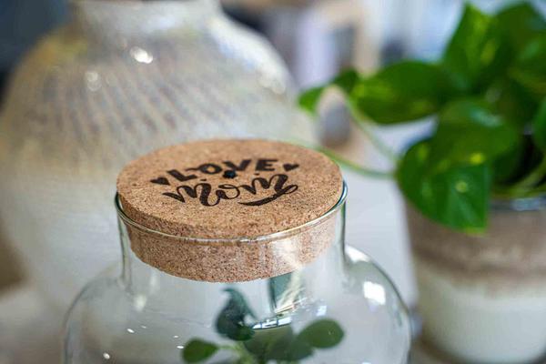 ‘LOVE MOM’ terrarium Little Milky + gegraveerde kurk met licht – Fles terrarium DIY kit – Ø 17 cm ↑ 25 cm – Moederdag