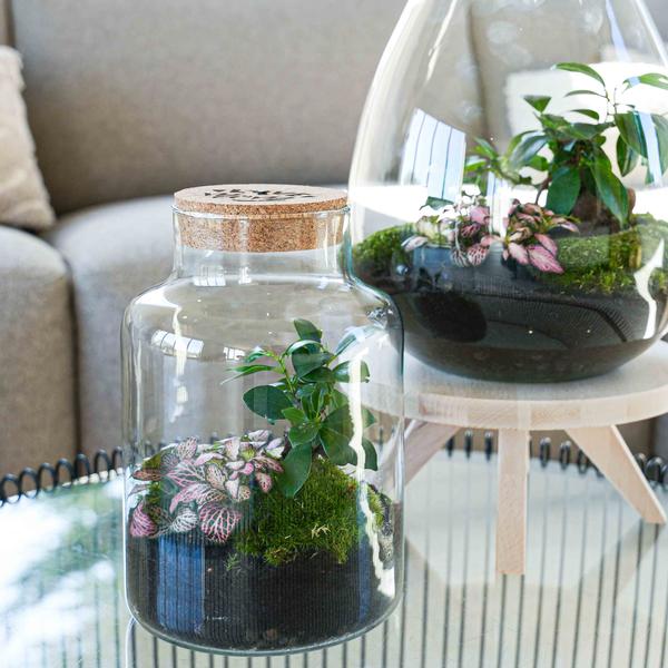 ‘LOVE MOM’ terrarium Little Milky + gegraveerde kurk met licht – Fles terrarium DIY kit – Ø 17 cm ↑ 25 cm – Moederdag