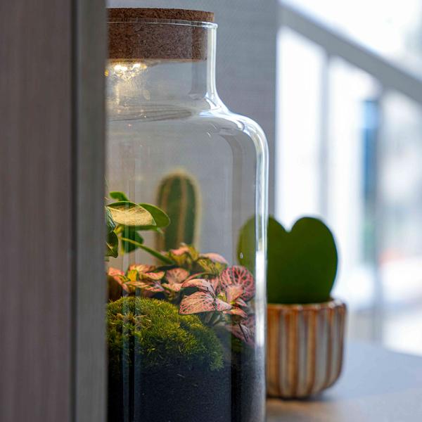 ‘LOVE MOM’ terrarium Little Milky + gegraveerde kurk met licht – Fles terrarium DIY kit – Ø 17 cm ↑ 25 cm – Moederdag