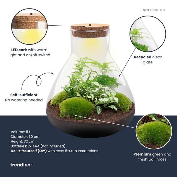 DIY Planten terrarium met licht – Sam XL Green – Ø 30 cm ↑ 32 cm – No tools