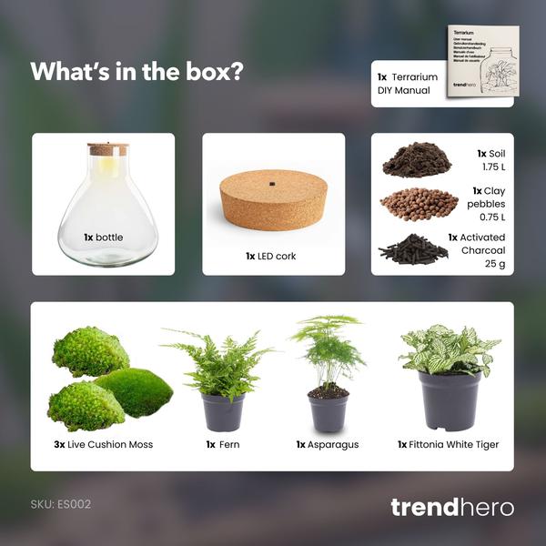 DIY Planten terrarium met licht – Sam XL Green – Ø 30 cm ↑ 32 cm – No tools